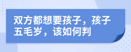 雙方都想要孩子，孩子五毛歲，該如何判