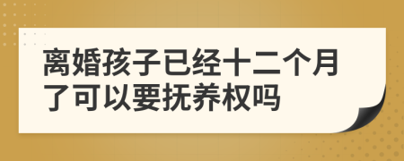 離婚孩子已經(jīng)十二個(gè)月了可以要撫養(yǎng)權(quán)嗎
