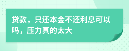 貸款，只還本金不還利息可以嗎，壓力真的太大