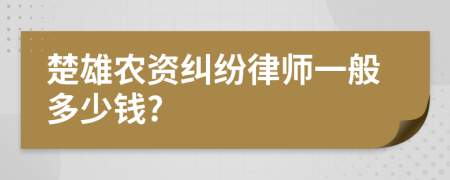 楚雄農(nóng)資糾紛律師一般多少錢?
