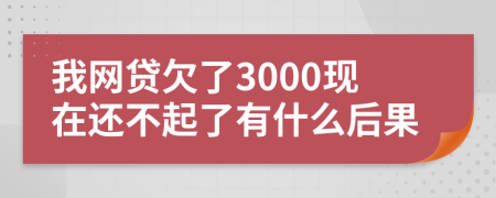 我網(wǎng)貸欠了3000現(xiàn)在還不起了有什么后果
