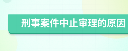 刑事案件中止審理的原因