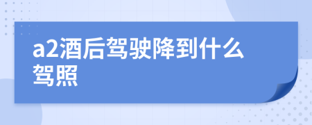 a2酒后駕駛降到什么駕照