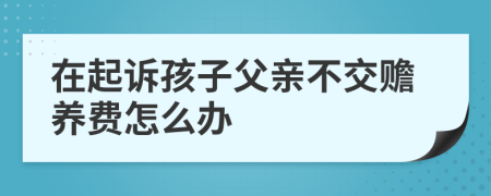 在起訴孩子父親不交贍養(yǎng)費(fèi)怎么辦