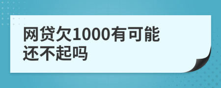 網(wǎng)貸欠1000有可能還不起嗎