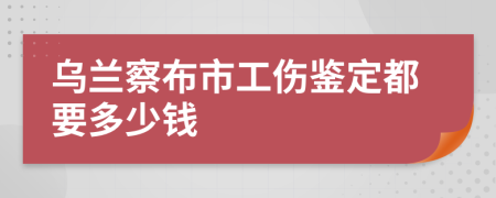 烏蘭察布市工傷鑒定都要多少錢