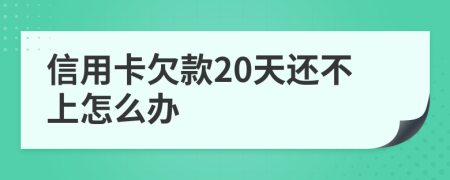 信用卡欠款20天還不上怎么辦