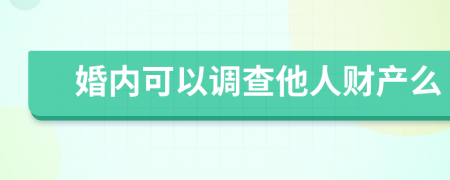 婚內(nèi)可以調(diào)查他人財產(chǎn)么