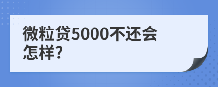 微粒貸5000不還會(huì)怎樣?