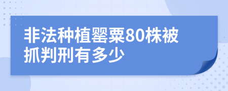 非法種植罌粟80株被抓判刑有多少