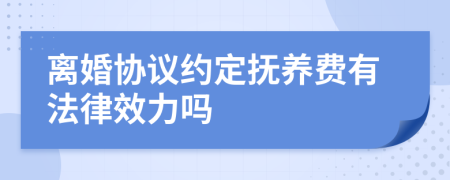 離婚協(xié)議約定撫養(yǎng)費有法律效力嗎