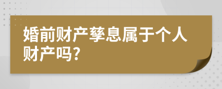 婚前財產(chǎn)孳息屬于個人財產(chǎn)嗎?