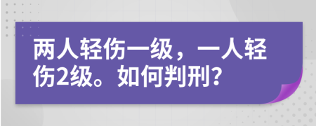 兩人輕傷一級，一人輕傷2級。如何判刑？