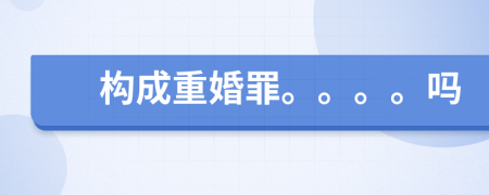 構(gòu)成重婚罪。。。。嗎
