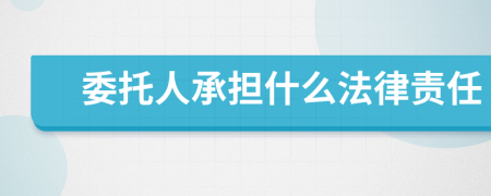 委托人承擔(dān)什么法律責(zé)任