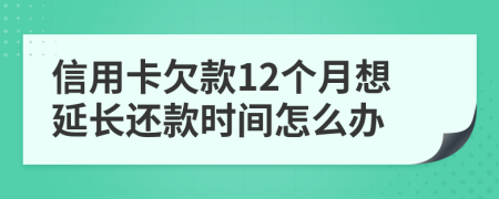 信用卡欠款12個月想延長還款時間怎么辦