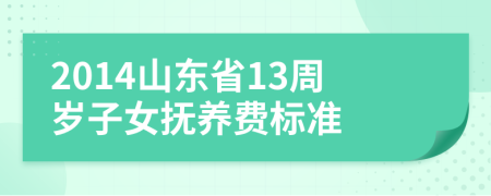 2014山東省13周歲子女撫養(yǎng)費(fèi)標(biāo)準(zhǔn)