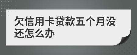 欠信用卡貸款五個(gè)月沒還怎么辦