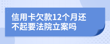 信用卡欠款12個(gè)月還不起要法院立案嗎