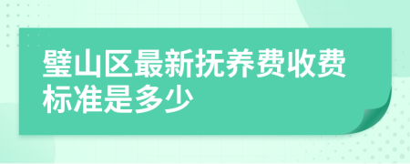 璧山區(qū)最新?lián)狃B(yǎng)費收費標(biāo)準(zhǔn)是多少