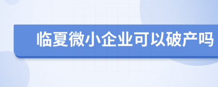 臨夏微小企業(yè)可以破產(chǎn)嗎