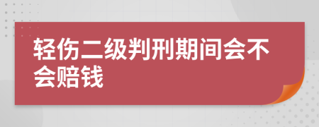 輕傷二級判刑期間會不會賠錢