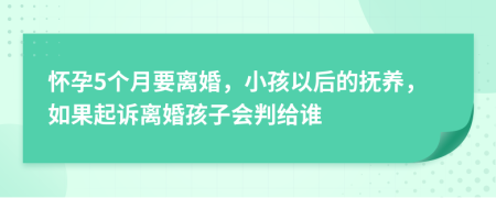 懷孕5個月要離婚，小孩以后的撫養(yǎng)，如果起訴離婚孩子會判給誰