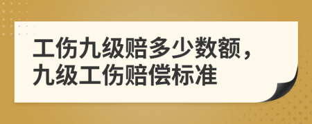 工傷九級賠多少數(shù)額，九級工傷賠償標準