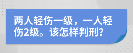 兩人輕傷一級(jí)，一人輕傷2級(jí)。該怎樣判刑？