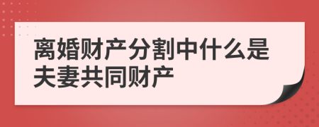離婚財(cái)產(chǎn)分割中什么是夫妻共同財(cái)產(chǎn)
