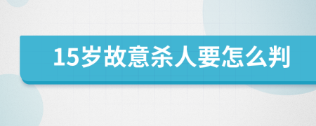 15歲故意殺人要怎么判