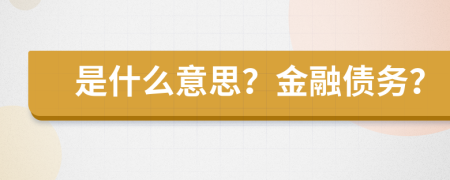 是什么意思？金融債務(wù)？