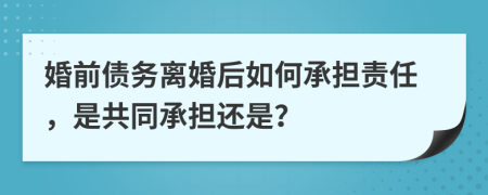 婚前債務(wù)離婚后如何承擔責(zé)任，是共同承擔還是？