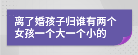 離了婚孩子歸誰(shuí)有兩個(gè)女孩一個(gè)大一個(gè)小的
