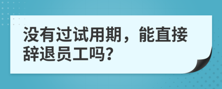 沒有過試用期，能直接辭退員工嗎？