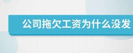 公司拖欠工資為什么沒(méi)發(fā)