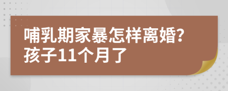 哺乳期家暴怎樣離婚？孩子11個月了