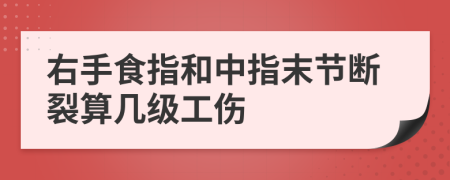 右手食指和中指末節(jié)斷裂算幾級(jí)工傷