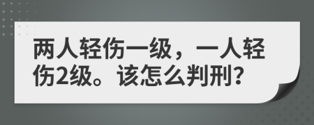 兩人輕傷一級(jí)，一人輕傷2級(jí)。該怎么判刑？
