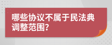 哪些協(xié)議不屬于民法典調(diào)整范圍？
