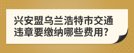 興安盟烏蘭浩特市交通違章要繳納哪些費用?