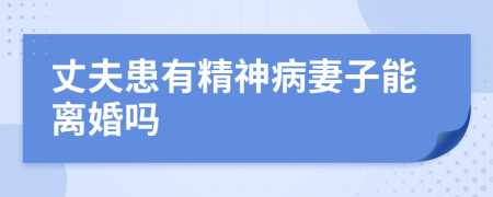 丈夫患有精神病妻子能離婚嗎