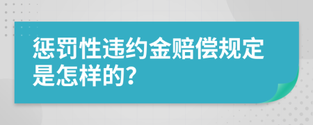懲罰性違約金賠償規(guī)定是怎樣的？