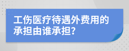 工傷醫(yī)療待遇外費用的承擔(dān)由誰承擔(dān)？