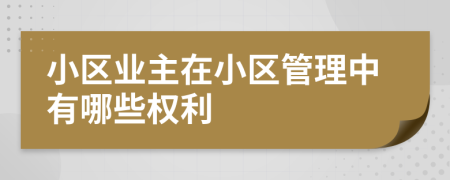 小區(qū)業(yè)主在小區(qū)管理中有哪些權(quán)利
