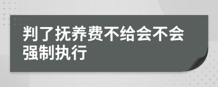 判了撫養(yǎng)費(fèi)不給會(huì)不會(huì)強(qiáng)制執(zhí)行