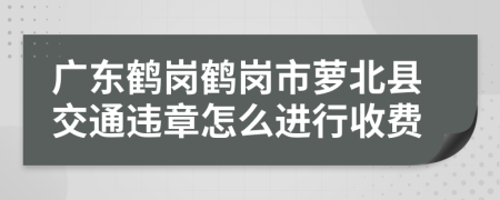 廣東鶴崗鶴崗市蘿北縣交通違章怎么進行收費