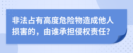 非法占有高度危險(xiǎn)物造成他人損害的，由誰(shuí)承擔(dān)侵權(quán)責(zé)任？