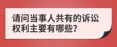 請問當(dāng)事人共有的訴訟權(quán)利主要有哪些？