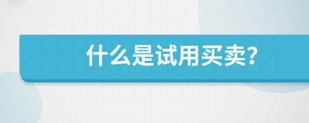 什么是試用買賣？